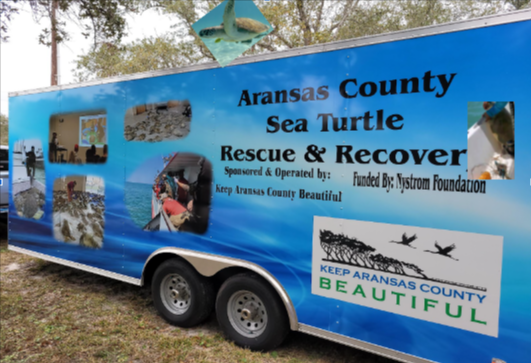 Sea-Turtle-Rescue-Page-docx-Google-Docs (1)